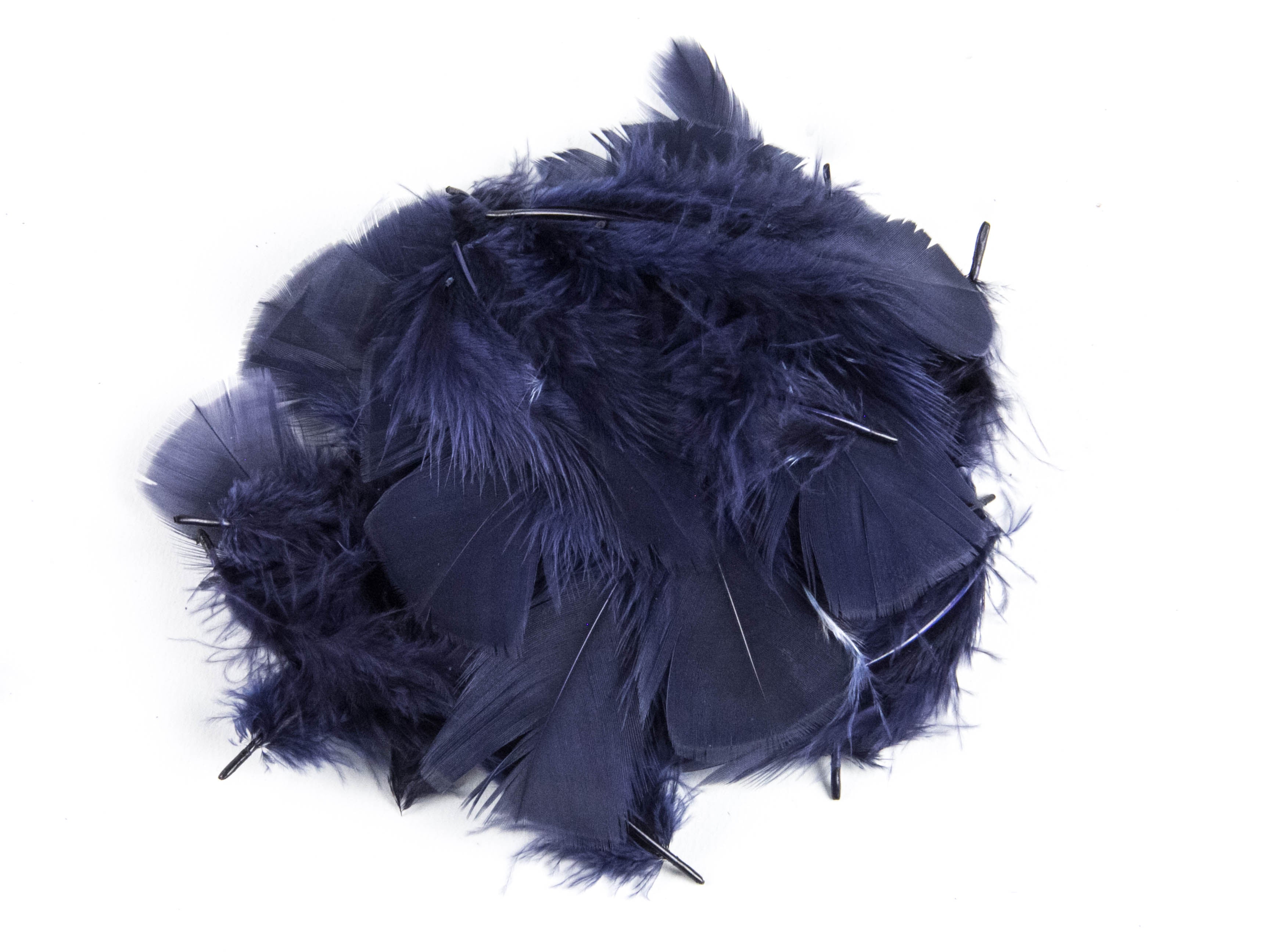 Bulk Turkey Coquille Feathers