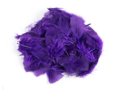 Bulk Turkey Coquille Feathers
