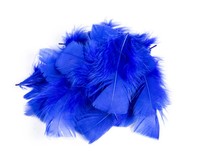 Bulk Turkey Coquille Feathers
