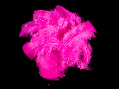 Bulk Turkey Coquille Feathers