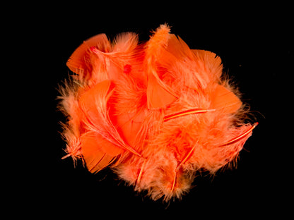 Turkey Coquille Feather Fringe