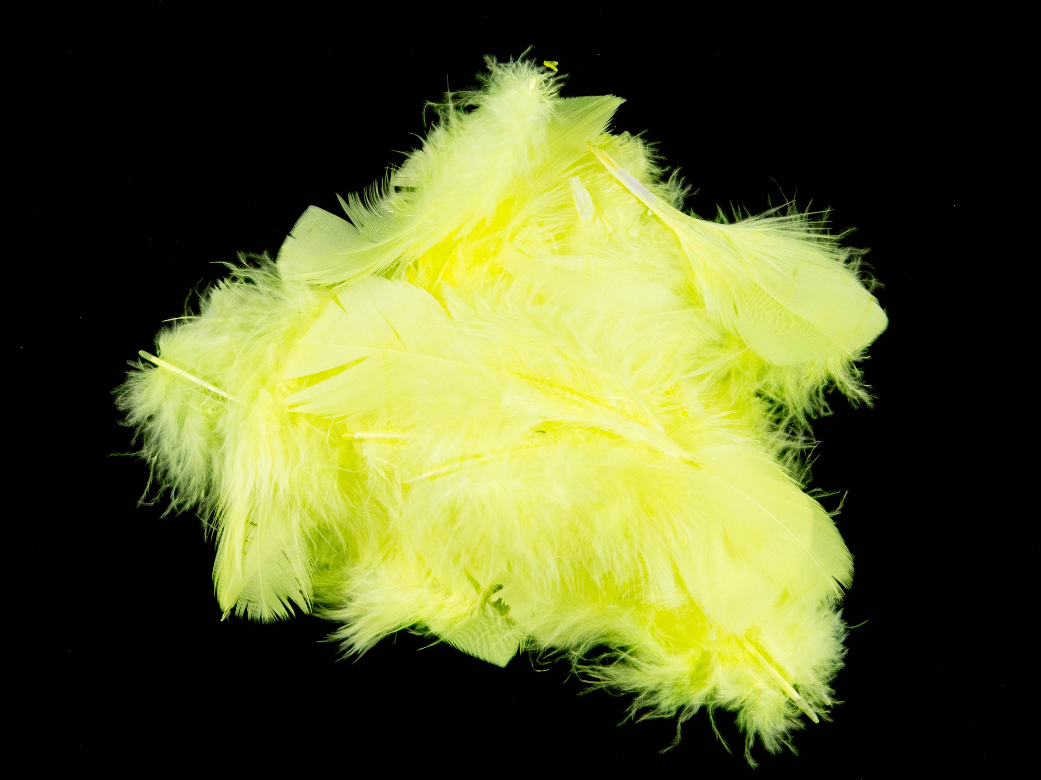 Turkey Coquille Feather Fringe