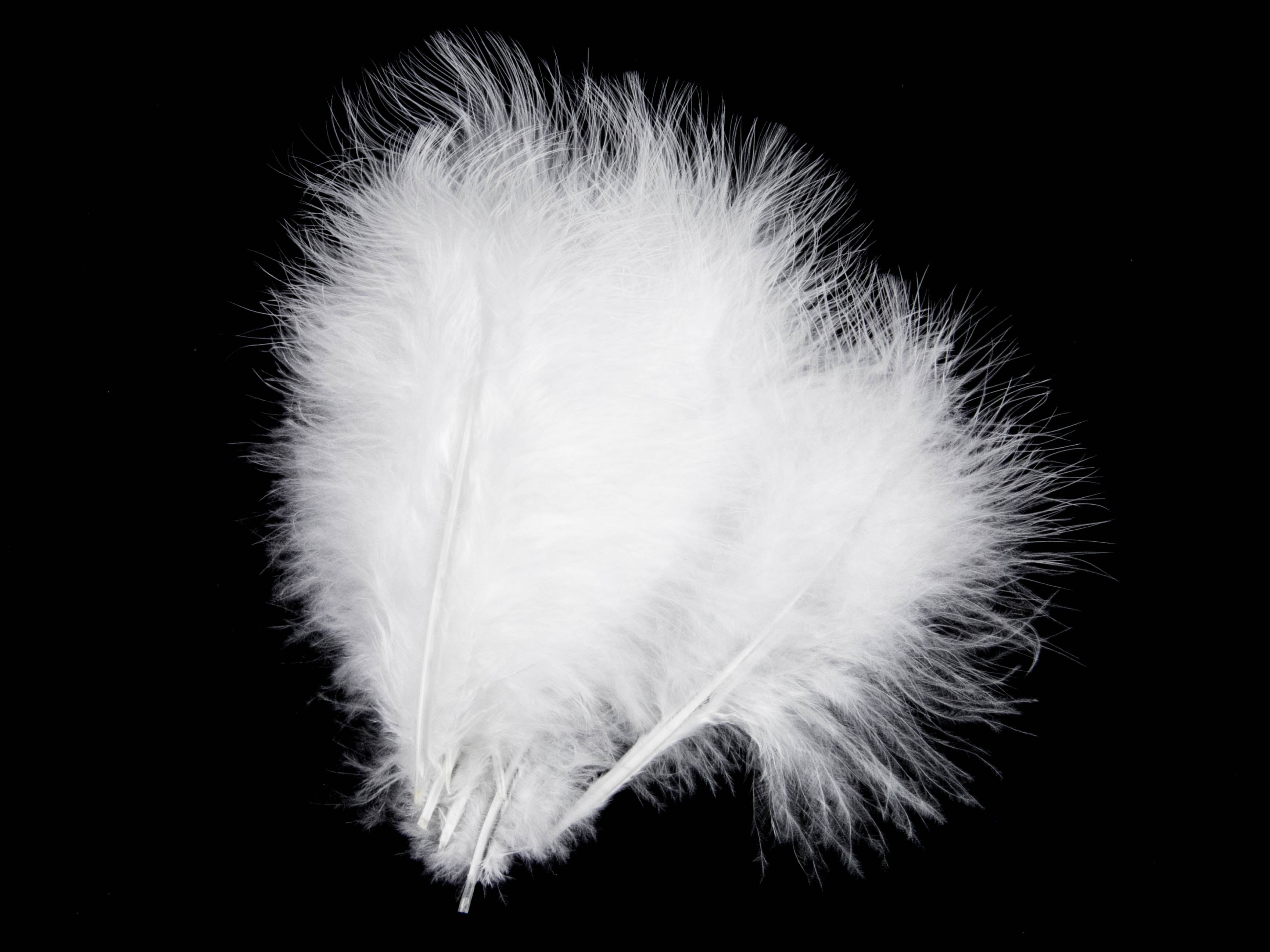 Turkey Marabout Feathers (Pack of 12)