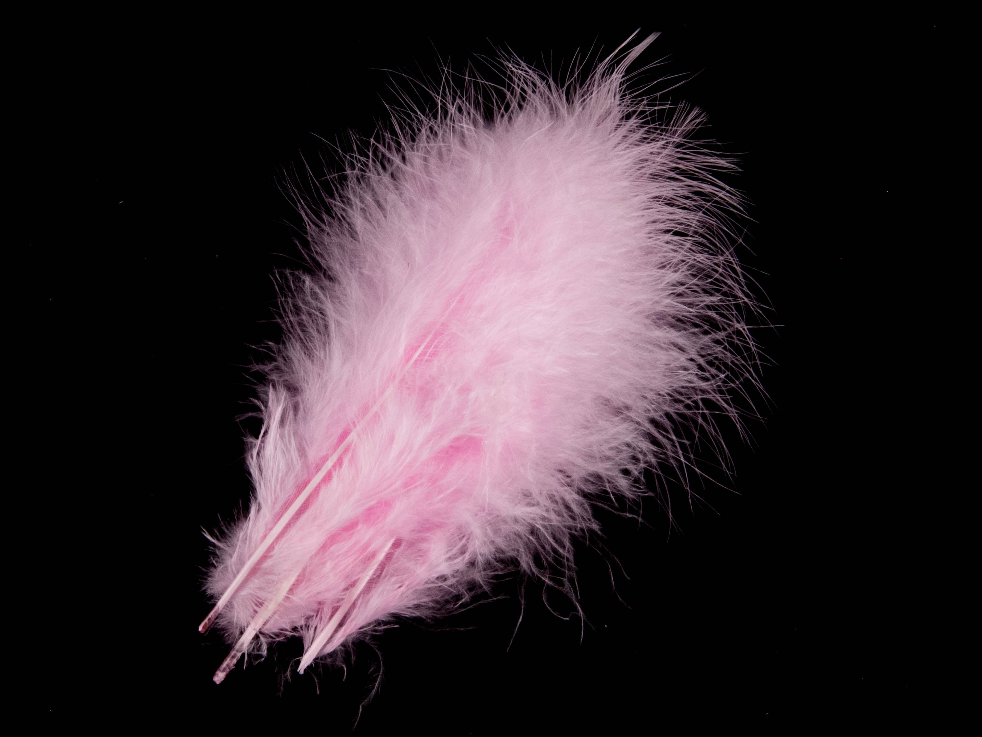 Turkey Marabout Feathers (Pack of 12)