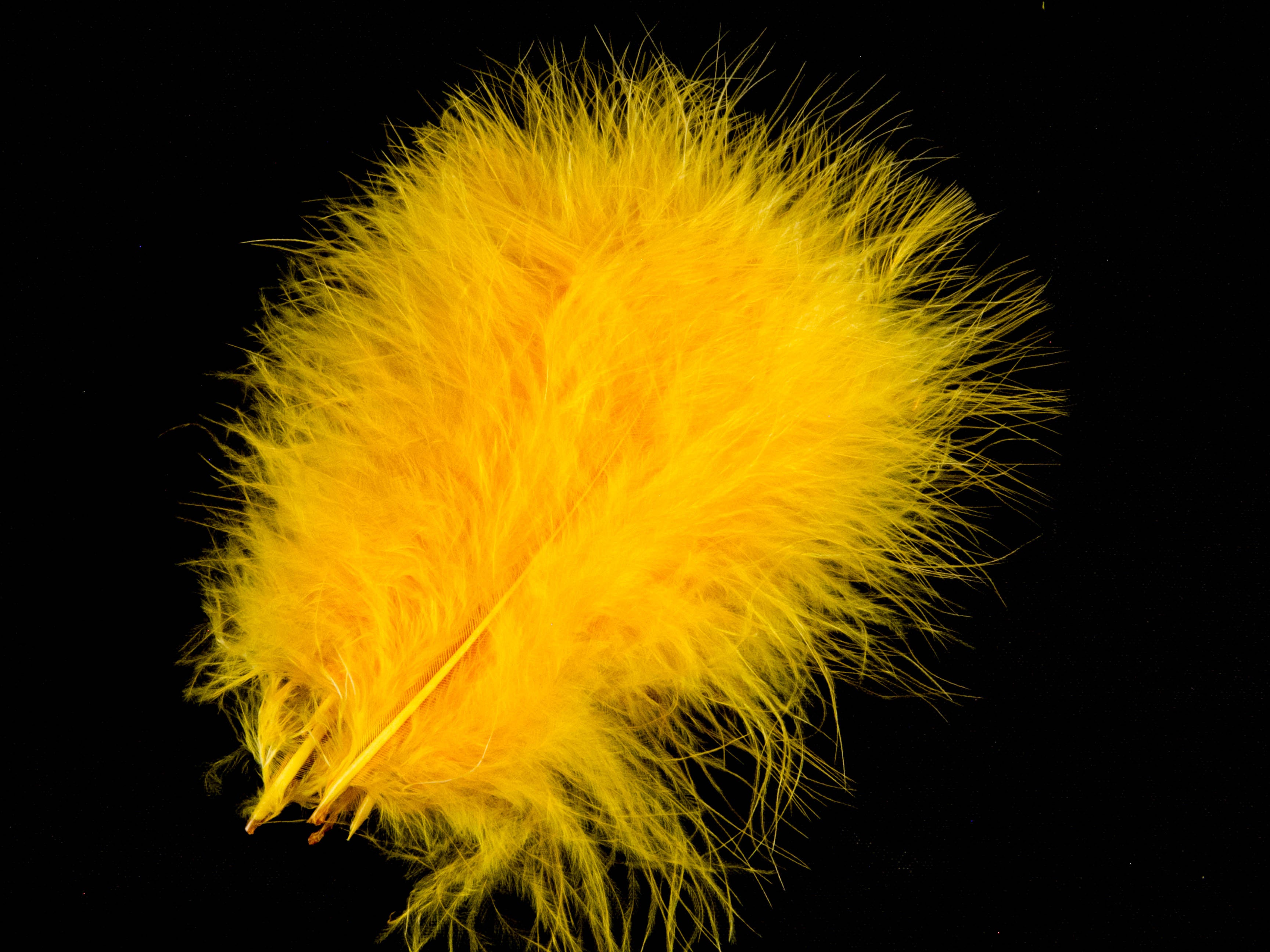 Turkey Marabout Feathers (Pack of 12)