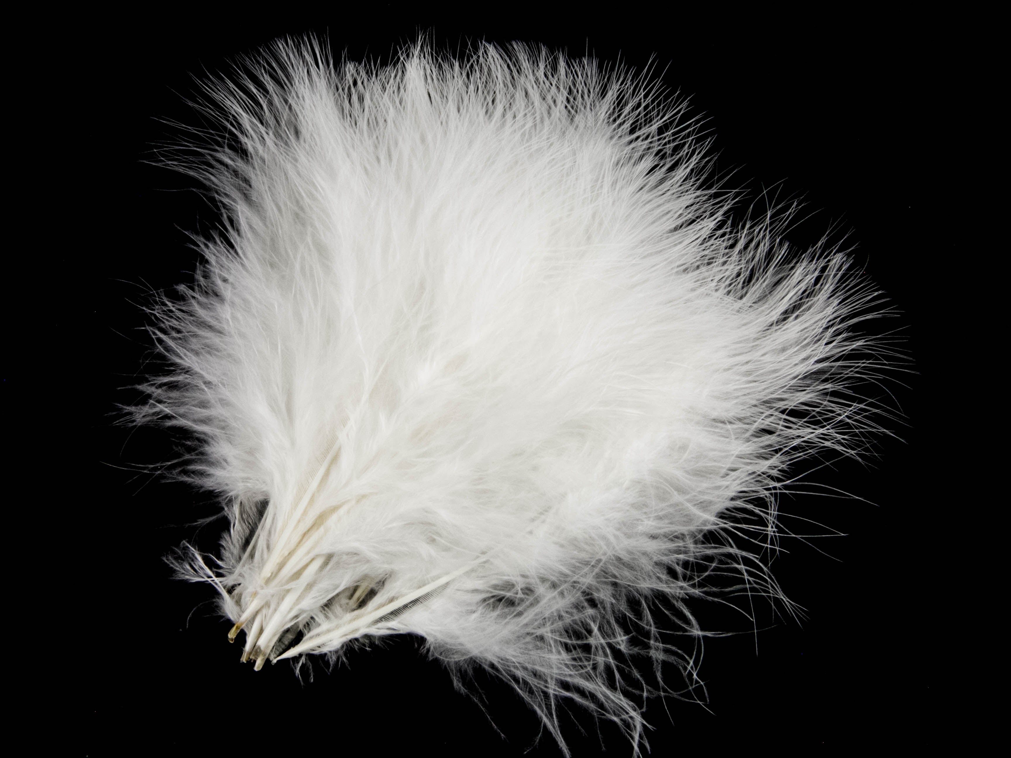Turkey Marabout Feathers (Pack of 12)