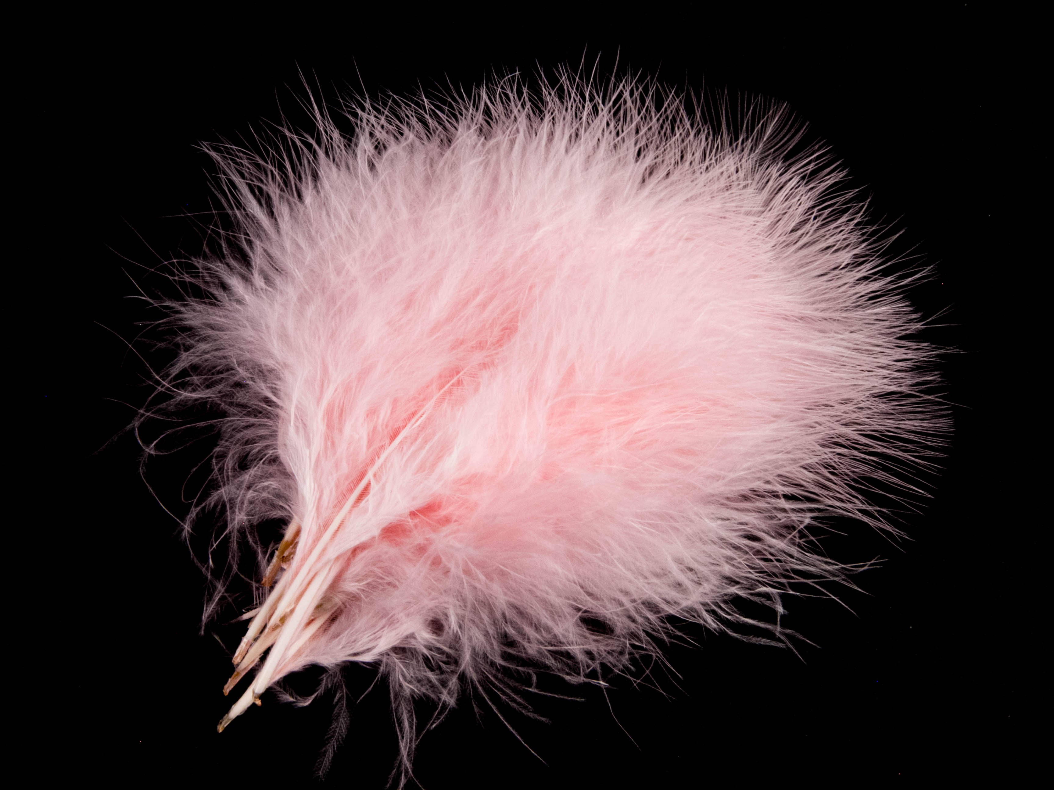 Turkey Marabout Feathers (Pack of 12)