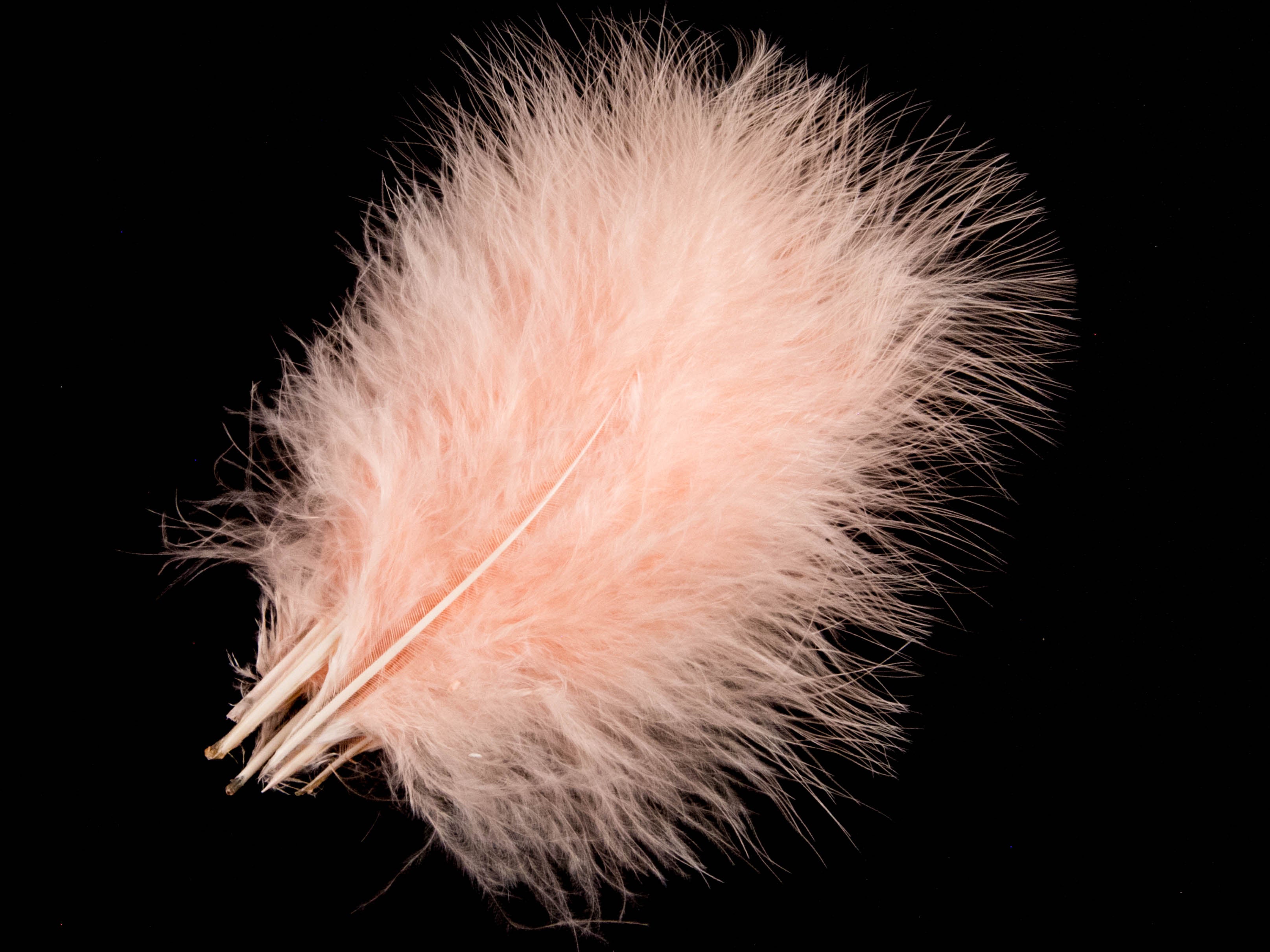 Turkey Marabout Feathers (Pack of 12)