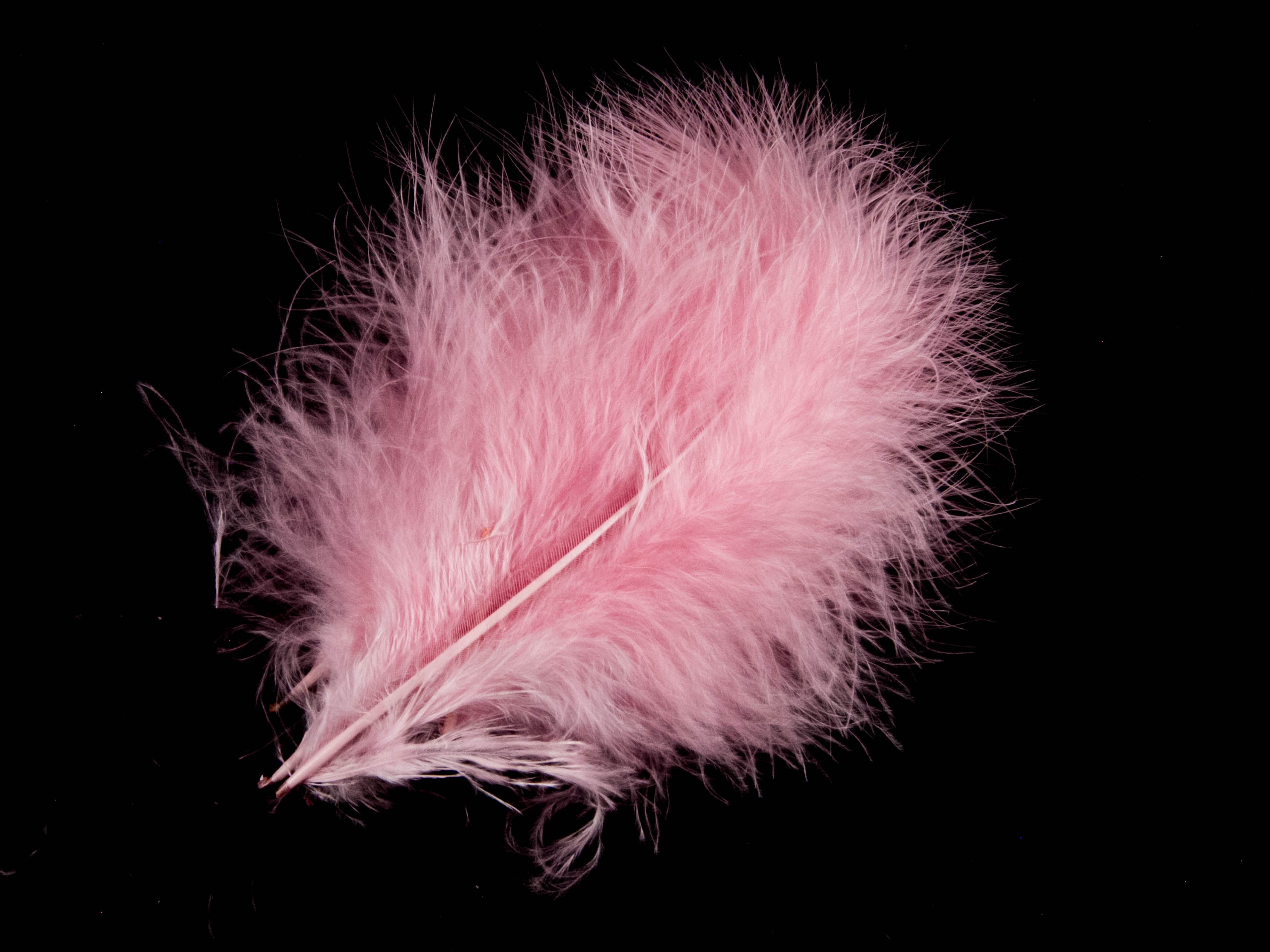 Turkey Marabout Feathers (Pack of 12)