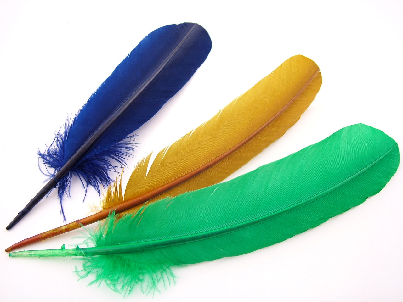 Turkey Quill Feather (Pack of 10)