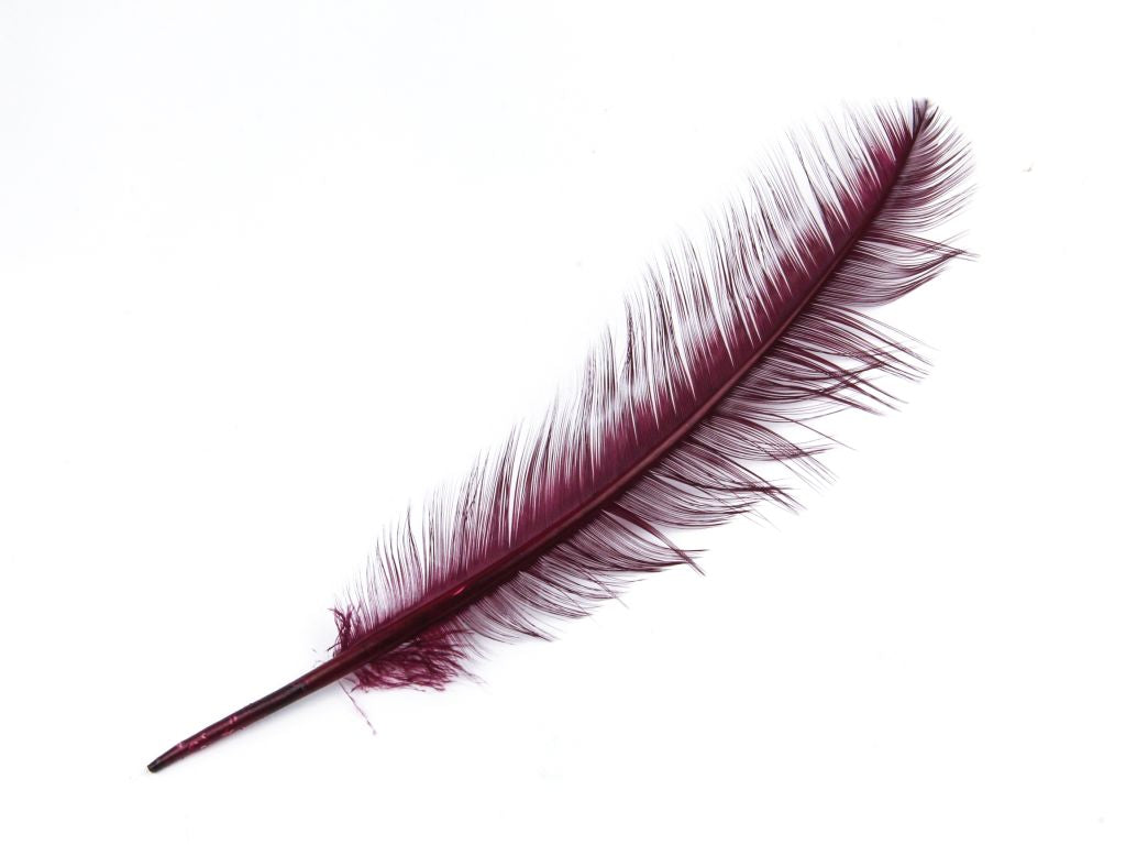 Burnt Turkey Quill Feather (Pack of 5)