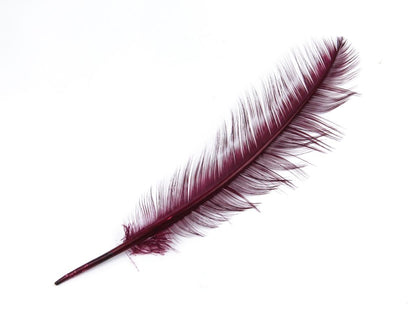 Burnt Turkey Quill Feather (Pack of 5)