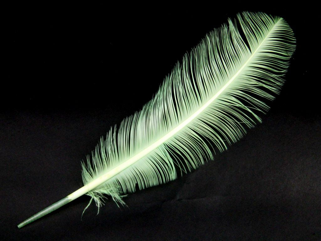 Burnt Turkey Quill Feather (Pack of 5)