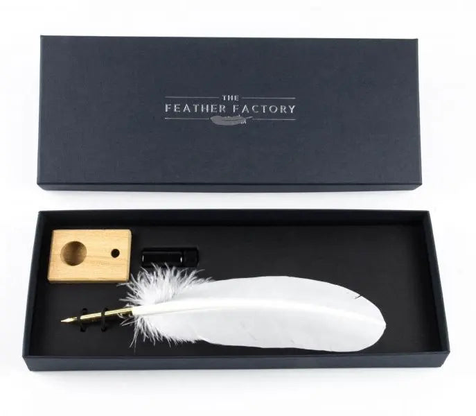 Turkey Quill Feather Pens - Deluxe finishes (Pack of 10)
