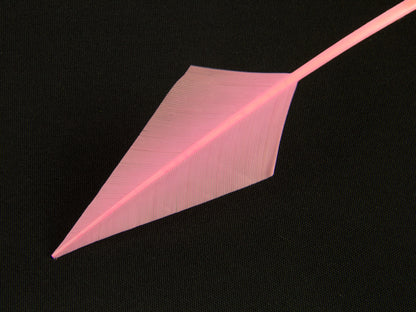 Turkey Arrowhead (Pack of 5)