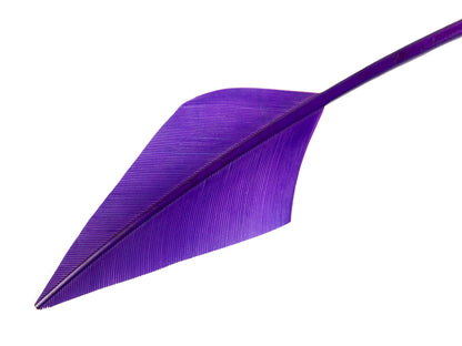 Turkey Arrowhead (Pack of 5)