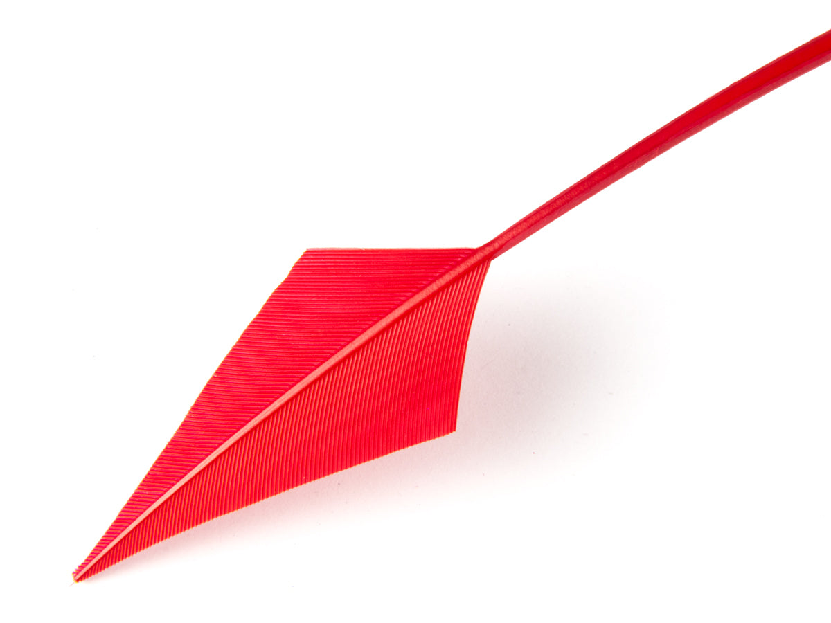 Turkey Arrowhead (Pack of 5)
