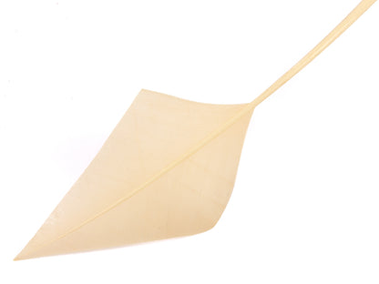 Turkey Arrowhead (Pack of 5)