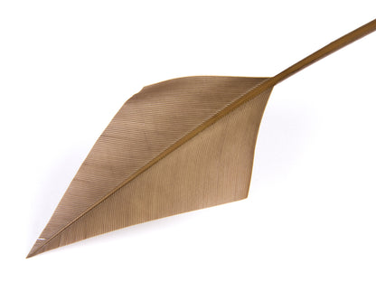 Turkey Arrowhead (Pack of 5)