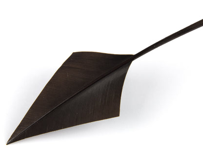 Turkey Arrowhead (Pack of 5)