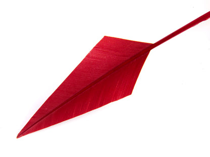 Turkey Arrowhead (Pack of 5)