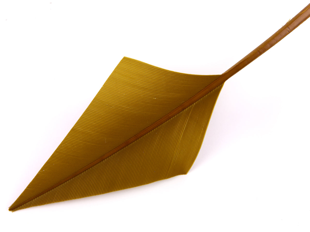 Turkey Arrowhead (Pack of 5)