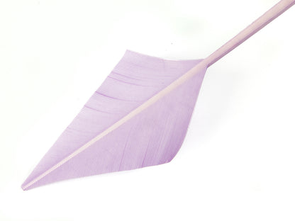 Turkey Arrowhead (Pack of 5)