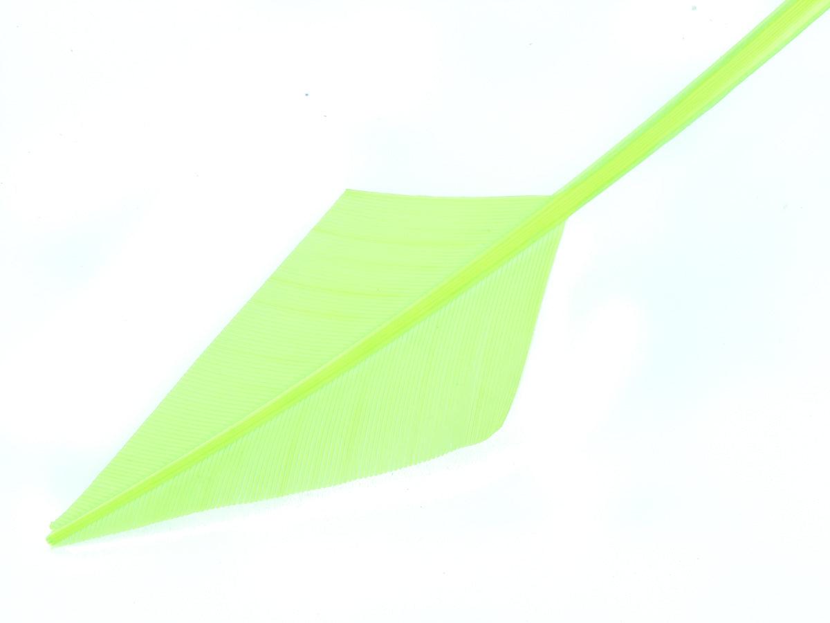 Turkey Arrowhead (Pack of 5)