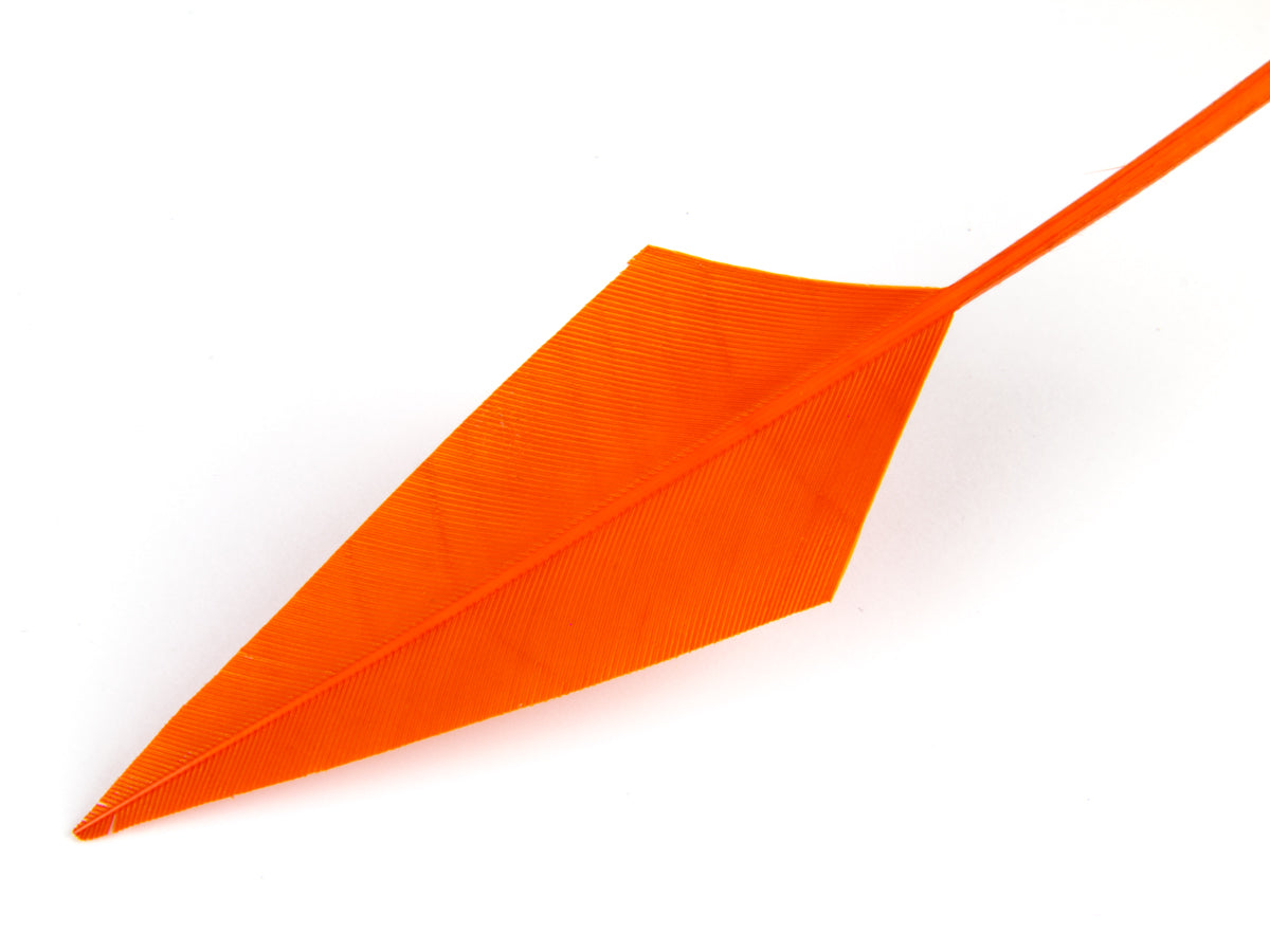 Turkey Arrowhead (Pack of 5)