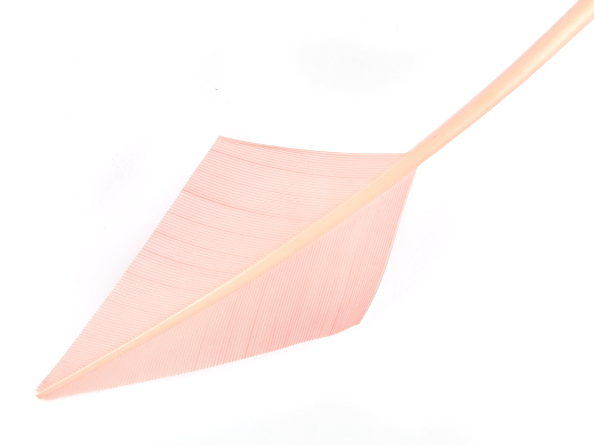 Turkey Arrowhead (Pack of 5)