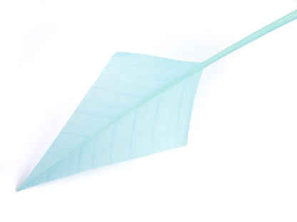 Turkey Arrowhead (Pack of 5)