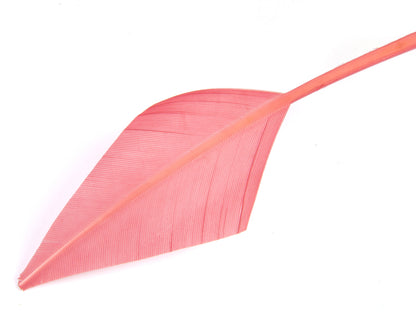 Turkey Arrowhead (Pack of 5)