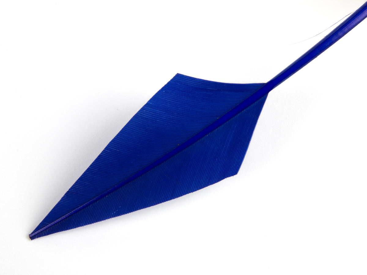 Turkey Arrowhead (Pack of 5)