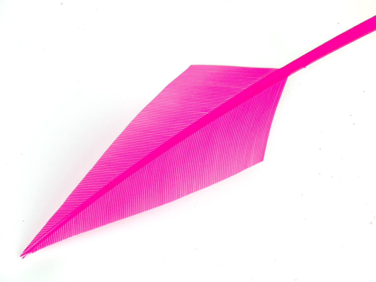 Turkey Arrowhead (Pack of 5)