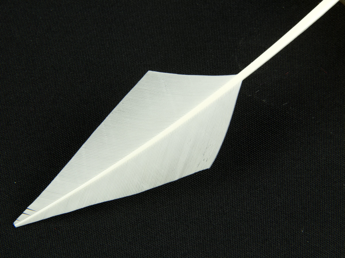 Turkey Arrowhead (Pack of 5)