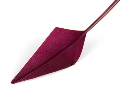 Turkey Arrowhead (Pack of 5)