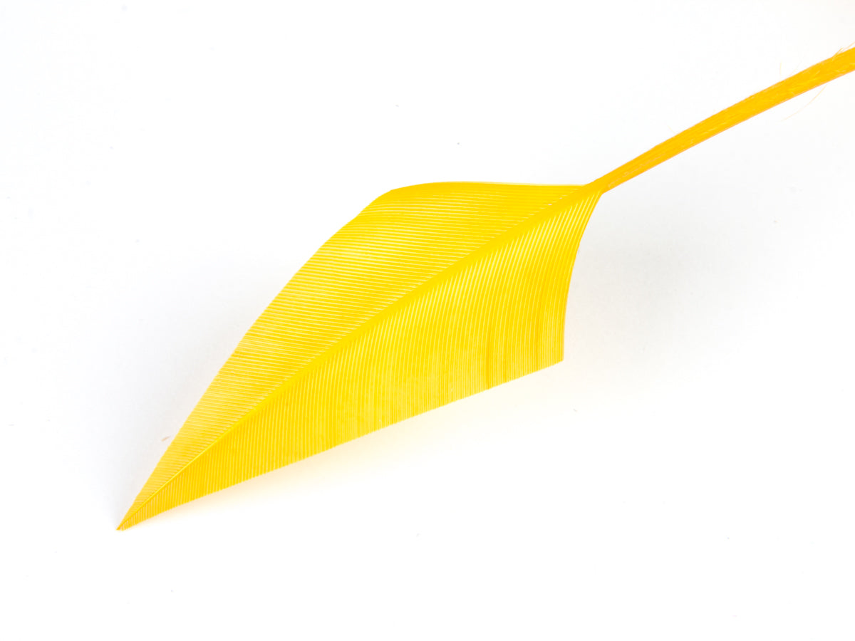 Turkey Arrowhead (Pack of 5)