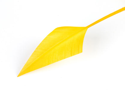 Turkey Arrowhead (Pack of 5)