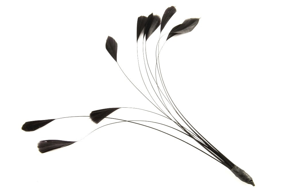 Bulk Stripped Coque (Pack of 100)