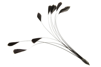 Bulk Stripped Coque (Pack of 100)