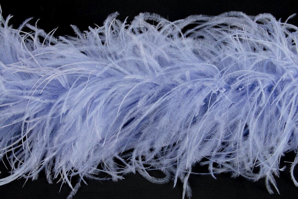 Ostrich Feather Boa with Stripped Coque - Dancewear Colours