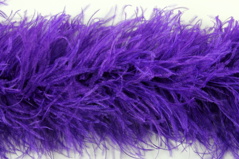 Ostrich Feather Boa with Stripped Coque - Dancewear Colours