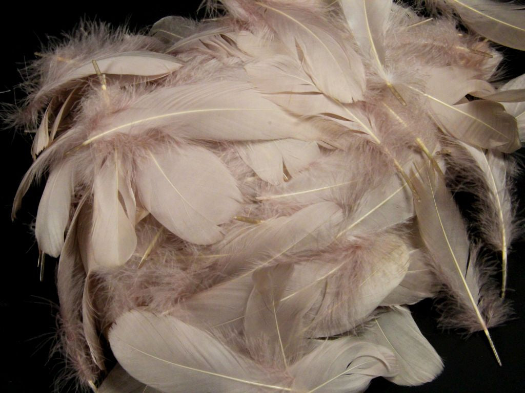 Bulk Goose Nagoire Feathers
