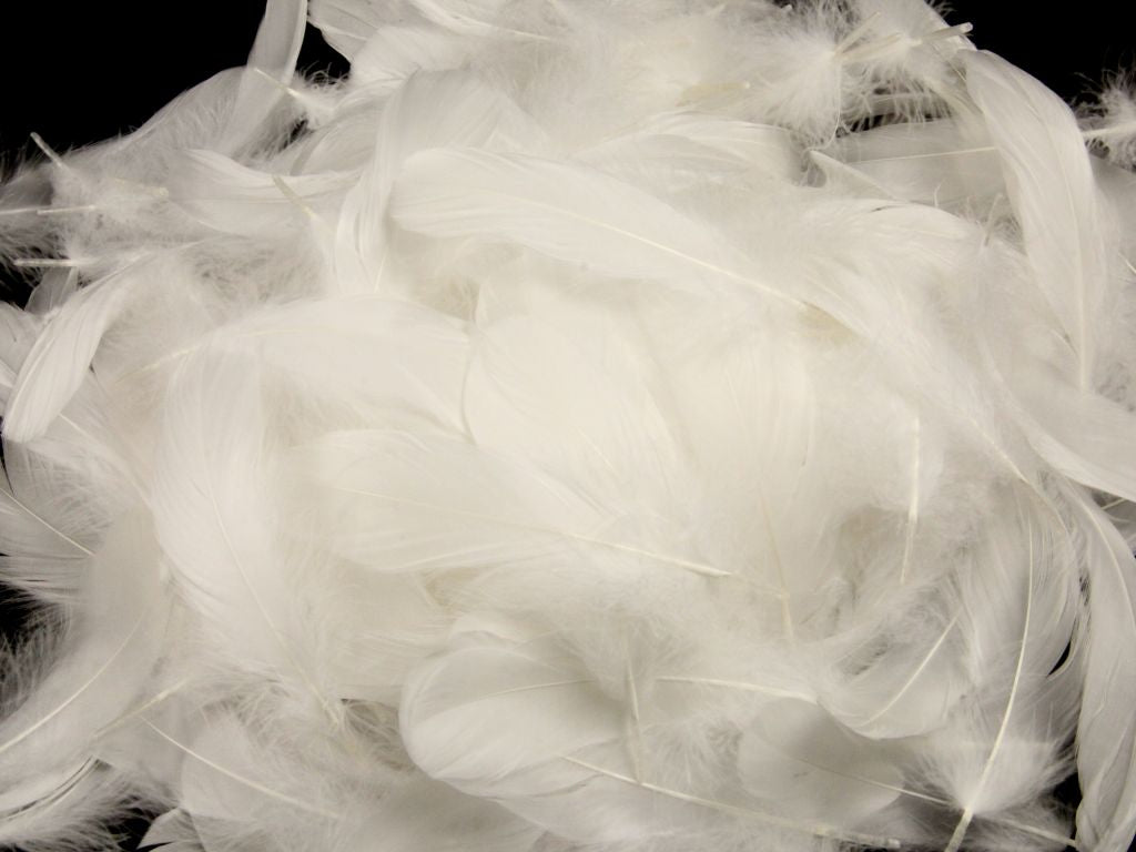Bulk Goose Nagoire Feathers