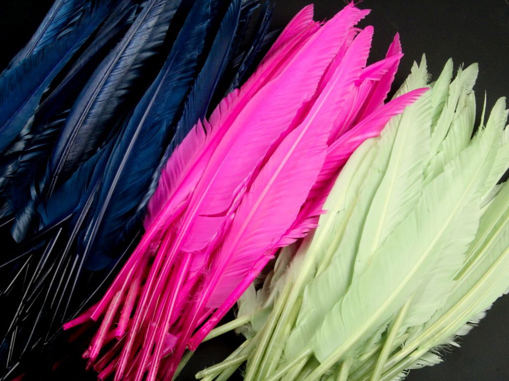 Bulk Goose Quill Feather