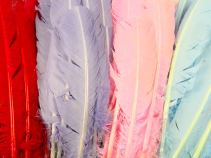 Bulk Turkey Quill Feathers - Craft Quality