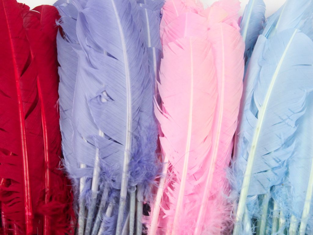 Bulk Turkey Quill Feathers - Craft Quality