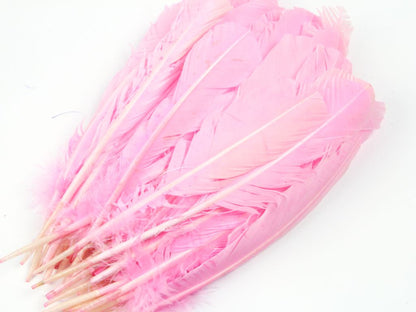 Bulk Turkey Quill Feathers - Craft Quality