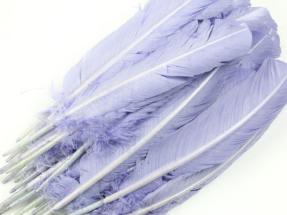 Bulk Turkey Quill Feathers - Craft Quality