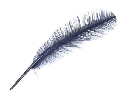 Burnt Turkey Quill Feather (Pack of 5)